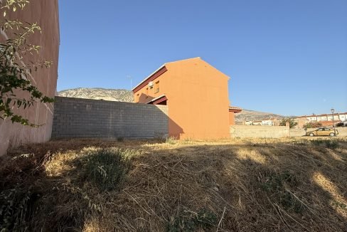 IMG_0799