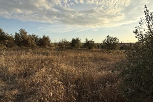 IMG_2649