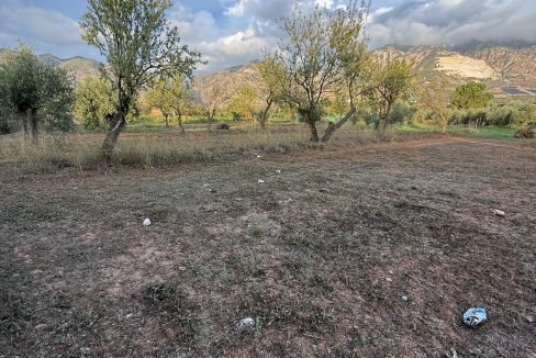 IMG_2663