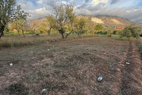 IMG_2664