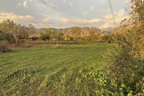 IMG_2669