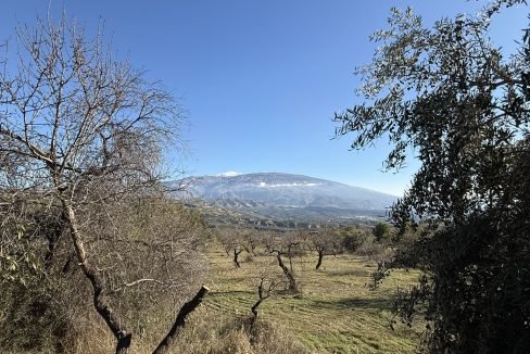 IMG_3479