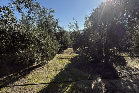 IMG_3488