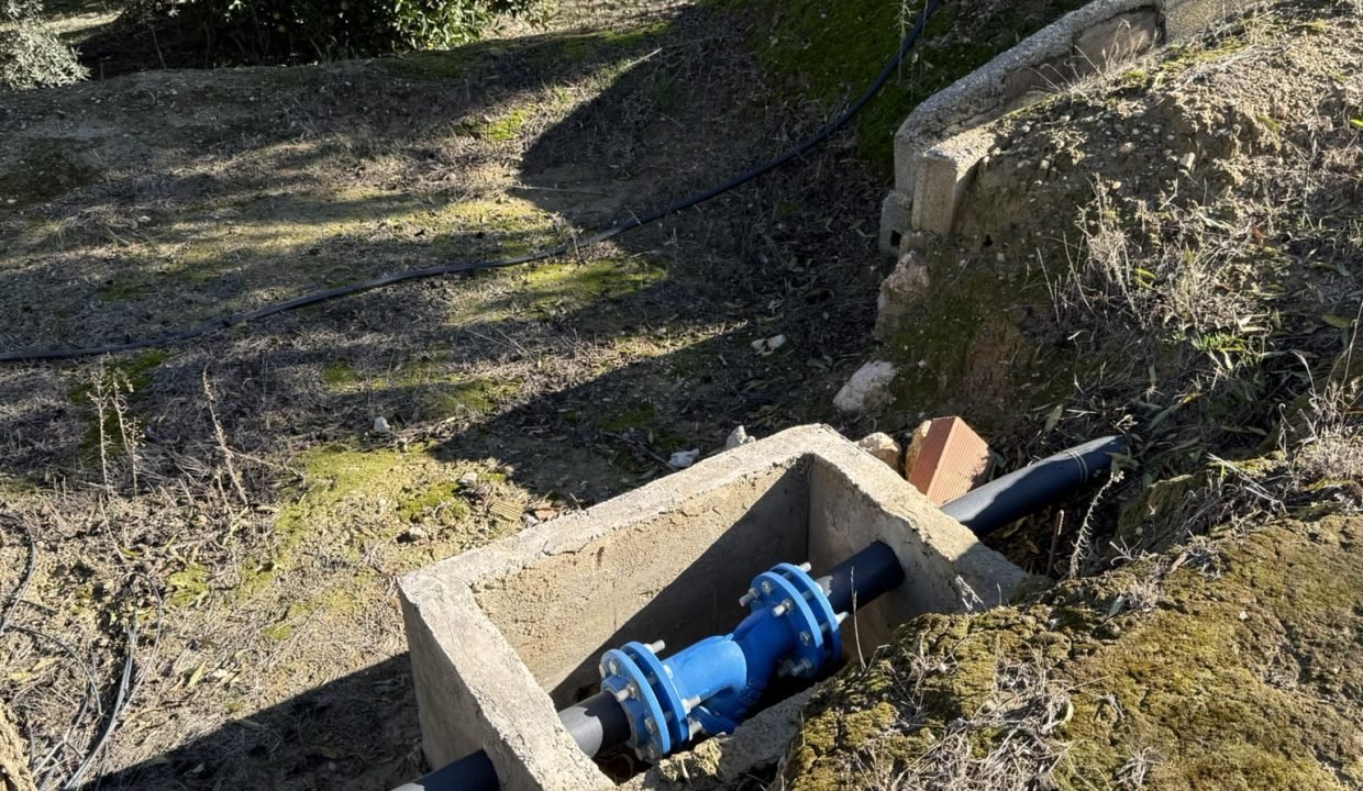 IMG_3528